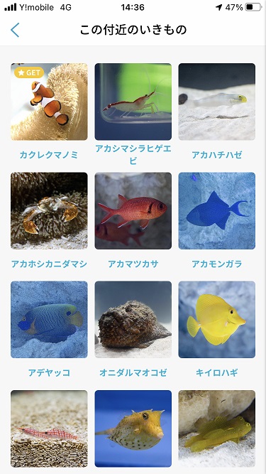 f:id:duffytravel:20210413220904j:plain