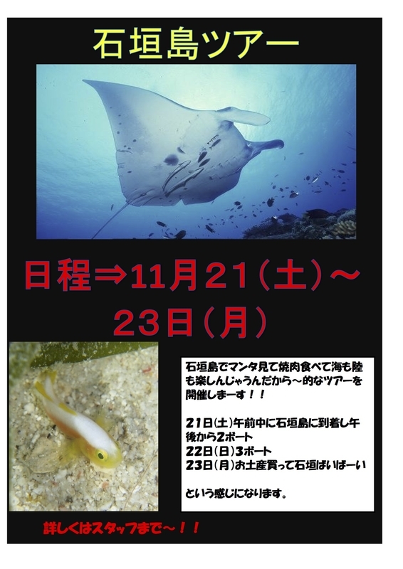 イメージ 8