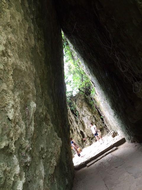 イメージ 5