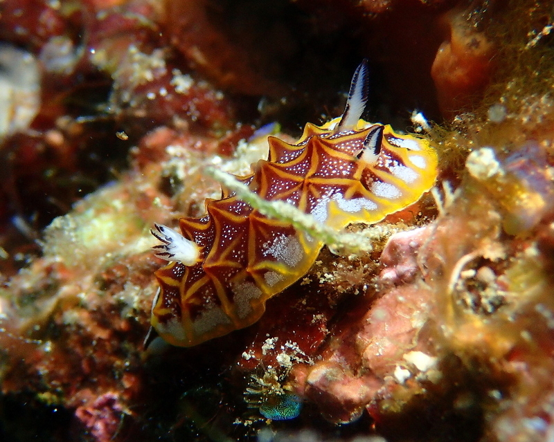 イメージ 8