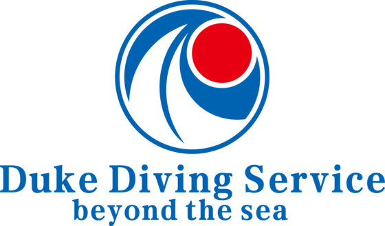 f:id:dukediving:20200531145331p:plain