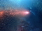 20241006154323