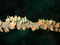 20260531132137