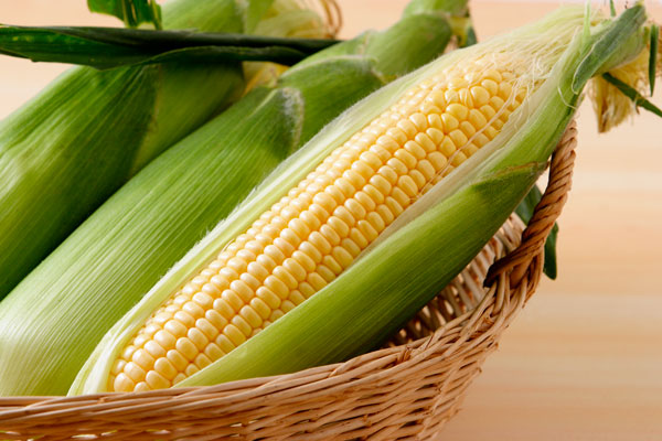 健康にいい トウモロコシに含まれる栄養と健康効果10選について 健康にいい
