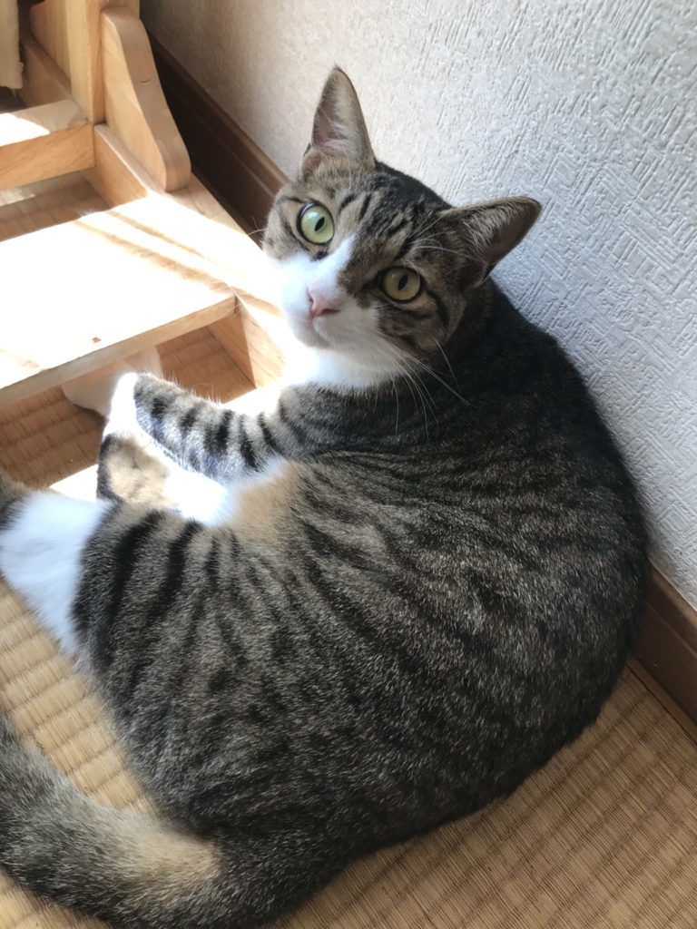 f:id:dululuttu:20180906032435j:plain f:id:dululuttu:20180906032435j:plain