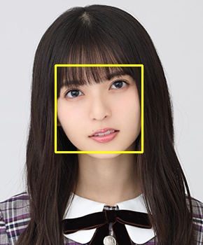f:id:dululuttu:20190506192348j:plain 顔検出した画像