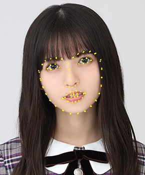 f:id:dululuttu:20190506195205j:plain 顔器官の検出