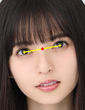 f:id:dululuttu:20190506232426p:plain 顔の基準点
