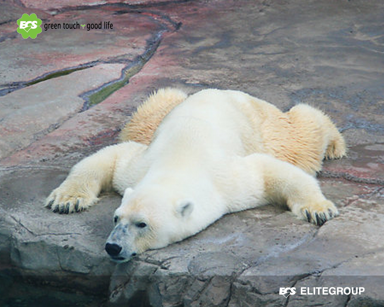 f:id:dumbo001:20110925171446j:image:w360