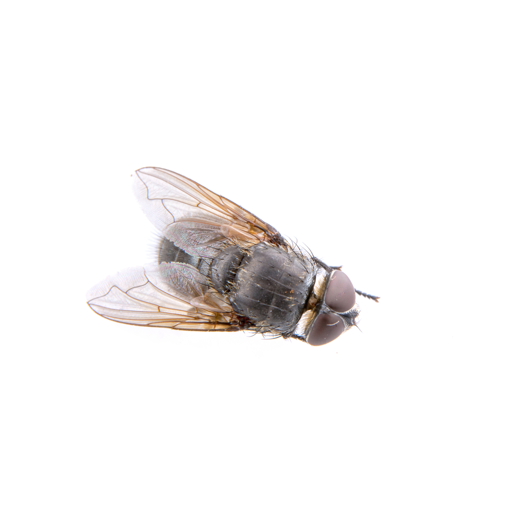 f:id:duneda911m:20180912154129j:plain f:id:duneda911m:20180912154129j:plain
