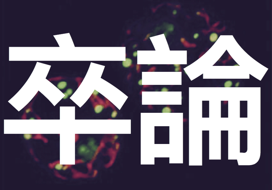 f:id:duong:20161202224535j:plain