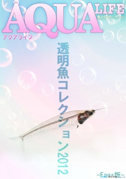 f:id:dupla:20121003204912j:image