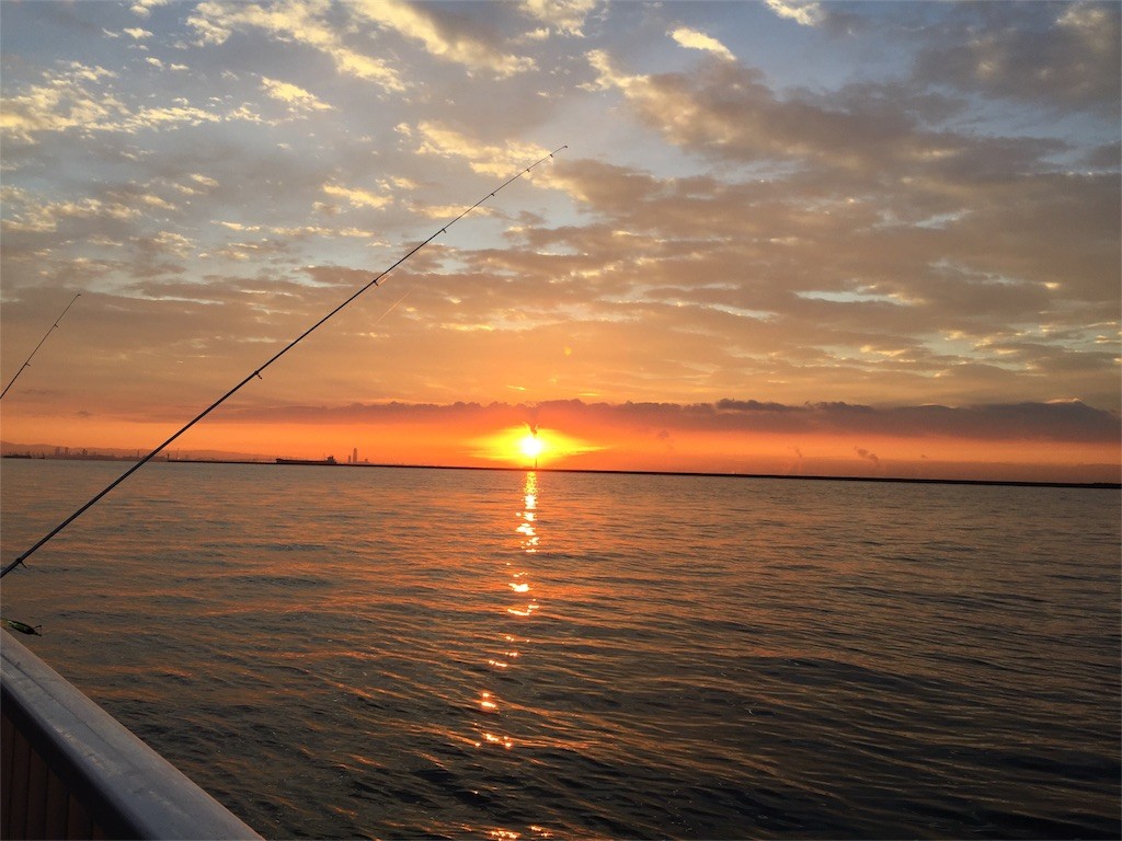 f:id:duran:20161231235359j:image