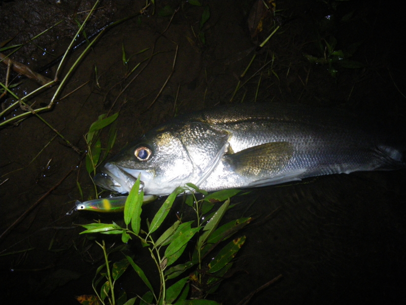 f:id:duran3616:20161004183350j:plain