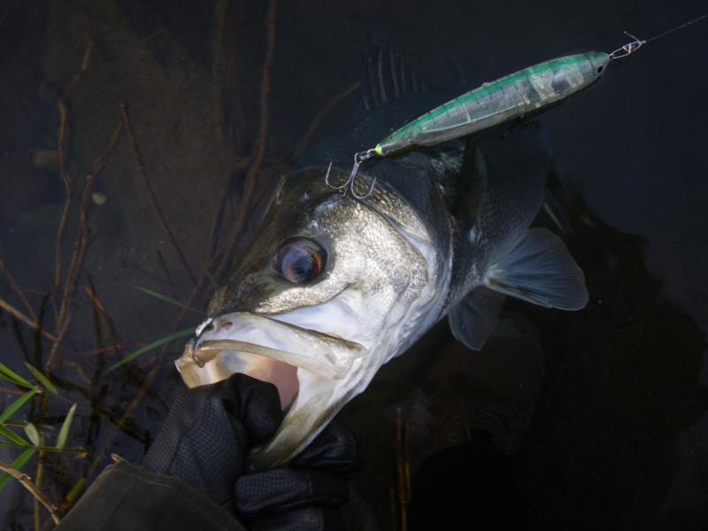 f:id:duran3616:20161015165901j:plain