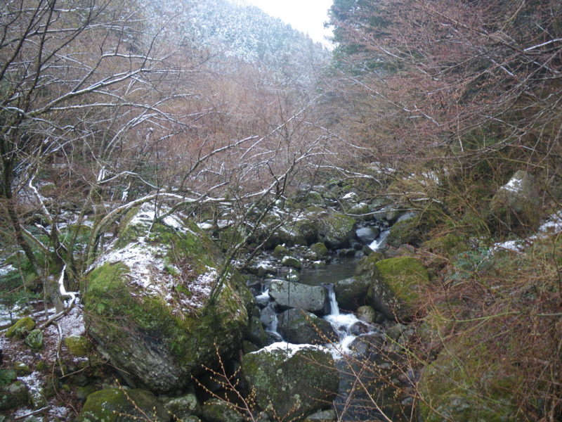 f:id:duran3616:20170401134920j:plain