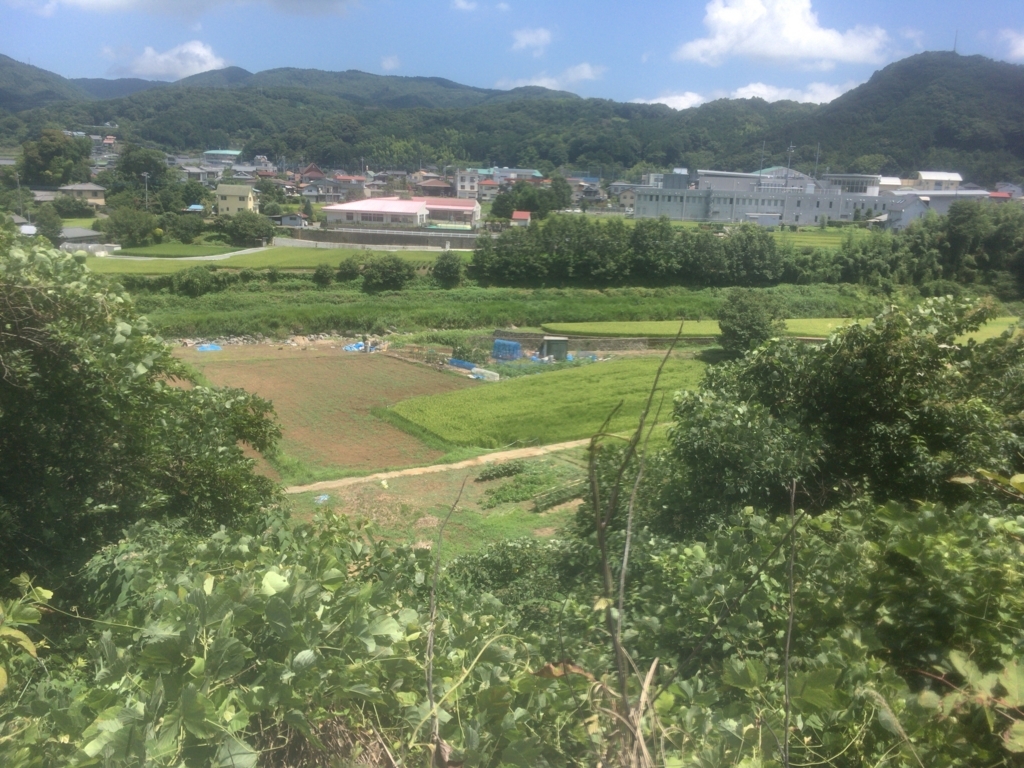 f:id:duran3616:20170806115211j:plain f:id:duran3616:20170806115211j:plain