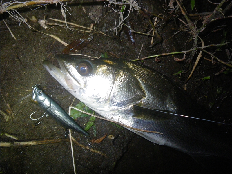 f:id:duran3616:20191009182626j:plain f:id:duran3616:20191009182626j:plain
