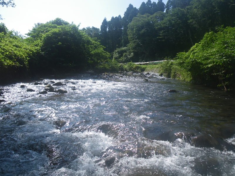 f:id:duran3616:20200801090203j:plain