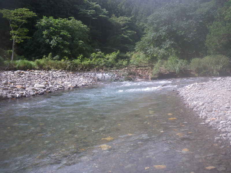 f:id:duran3616:20200802090500j:plain