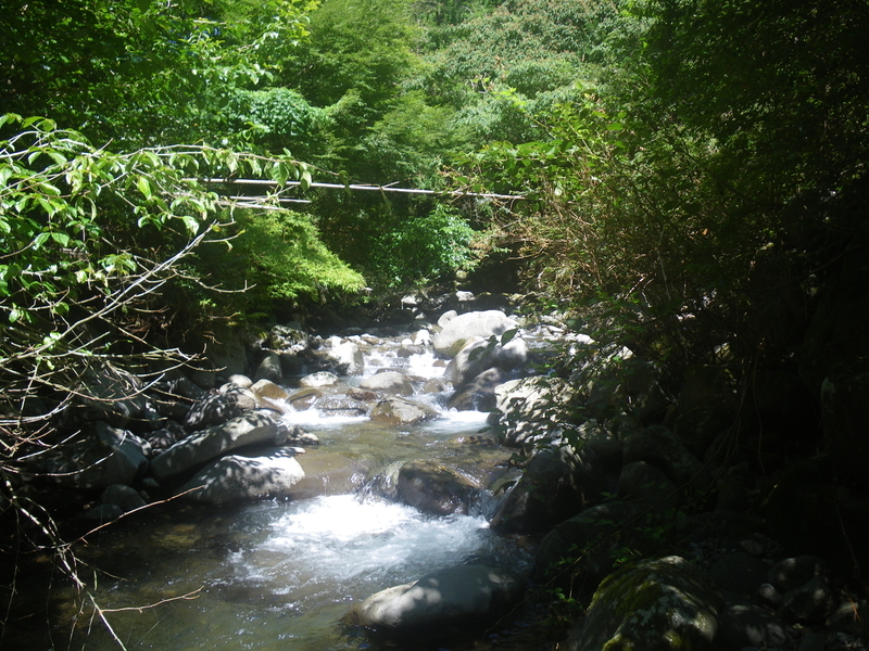 f:id:duran3616:20200812100538j:plain