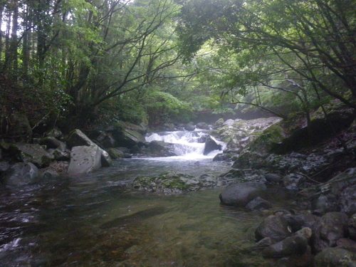 f:id:duran3616:20200907114504j:plain f:id:duran3616:20200907114504j:plain