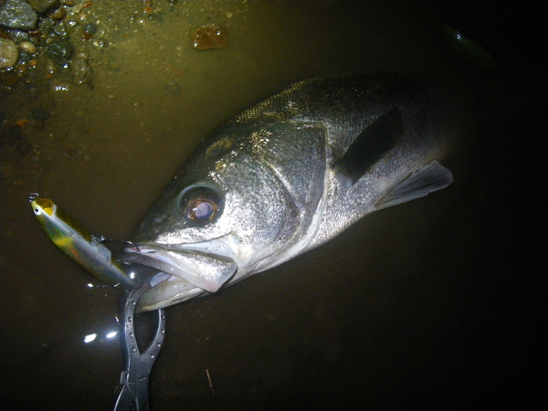 f:id:duran3616:20201108212907j:plain f:id:duran3616:20201108212907j:plain