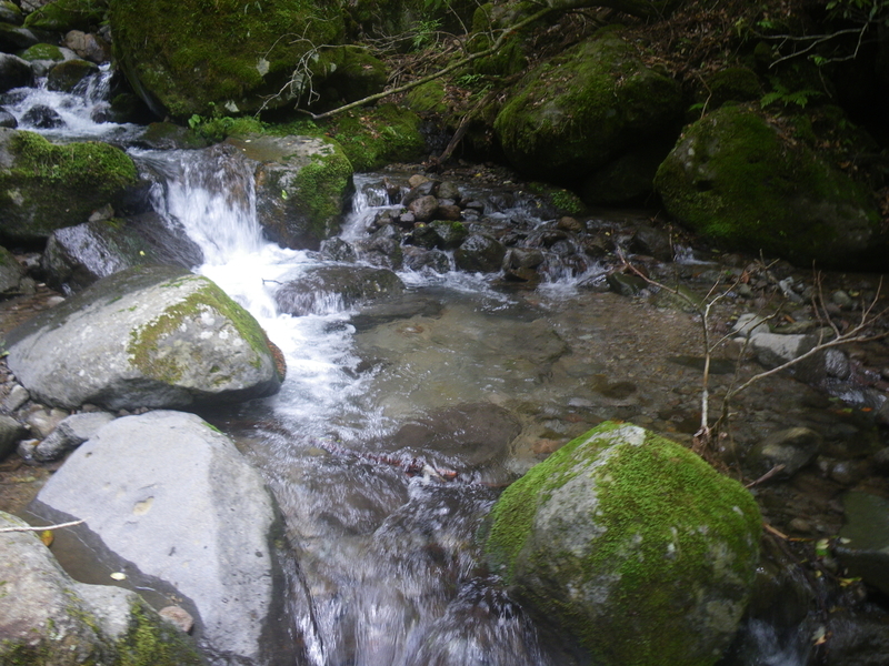 f:id:duran3616:20210530140407j:plain