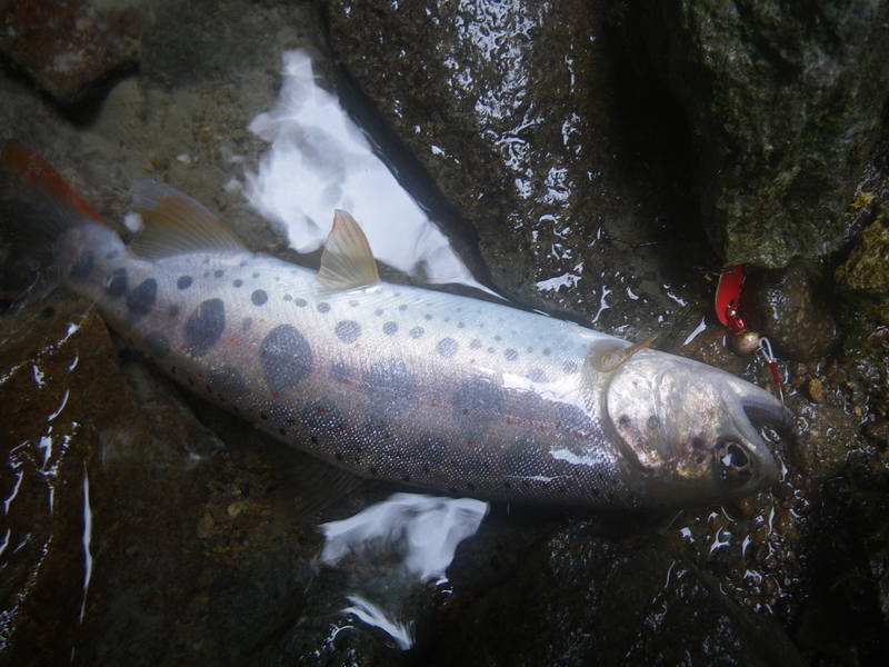 f:id:duran3616:20210712081312j:plain