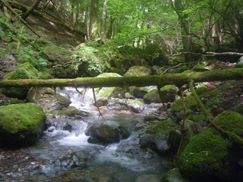 f:id:duran3616:20210712081320j:plain