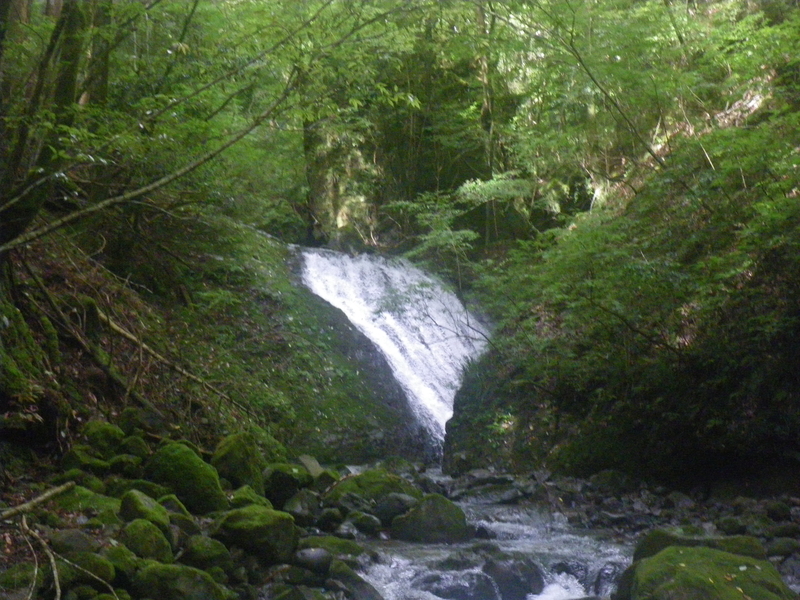 f:id:duran3616:20210712081327j:plain