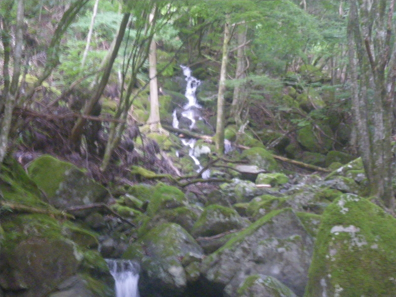 f:id:duran3616:20210712081442j:plain