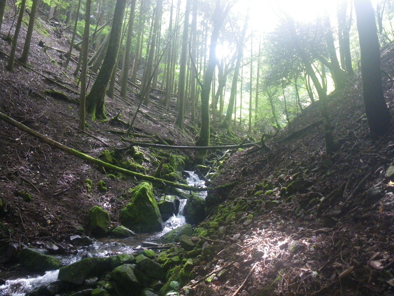 f:id:duran3616:20210712081504j:plain