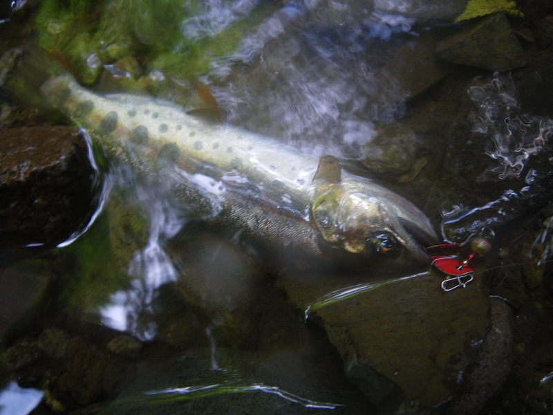 f:id:duran3616:20210712081512j:plain