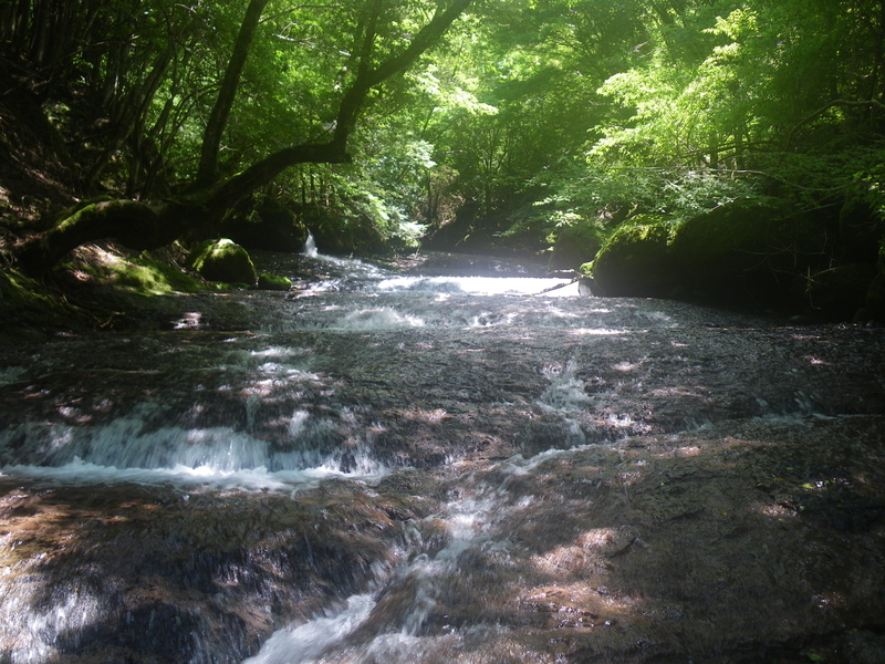 f:id:duran3616:20210712081657j:plain