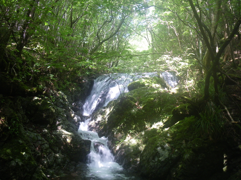 f:id:duran3616:20210712081828j:plain