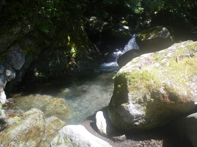 f:id:duran3616:20210719080234j:plain