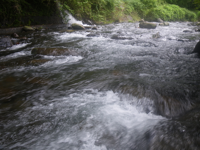 f:id:duran3616:20210719080552j:plain