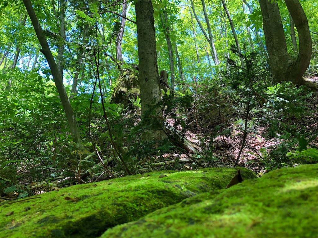 f:id:durasuto010:20190525201717j:image