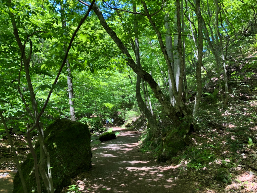 f:id:durasuto010:20190525201903j:image