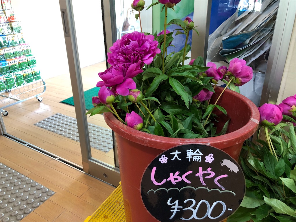 f:id:durasuto010:20190619084053j:image