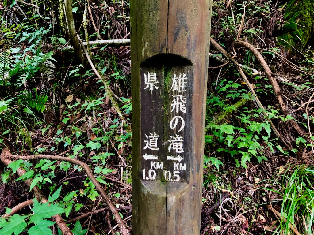 f:id:durasuto010:20190917221655j:image
