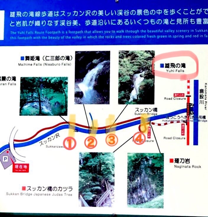 f:id:durasuto010:20190918080840j:plain