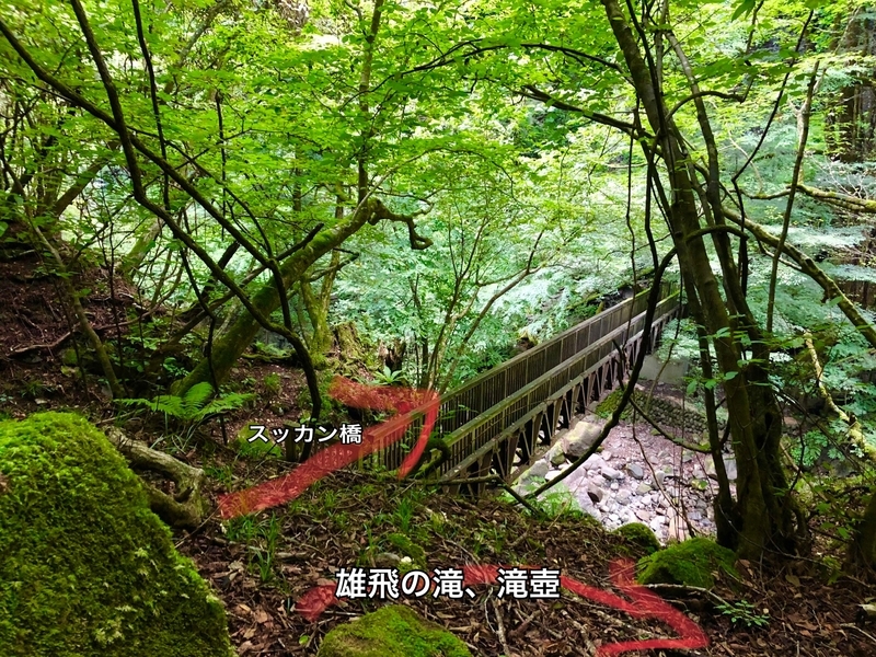 f:id:durasuto010:20190918092252j:plain