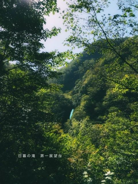f:id:durasuto010:20220103090931j:plain
