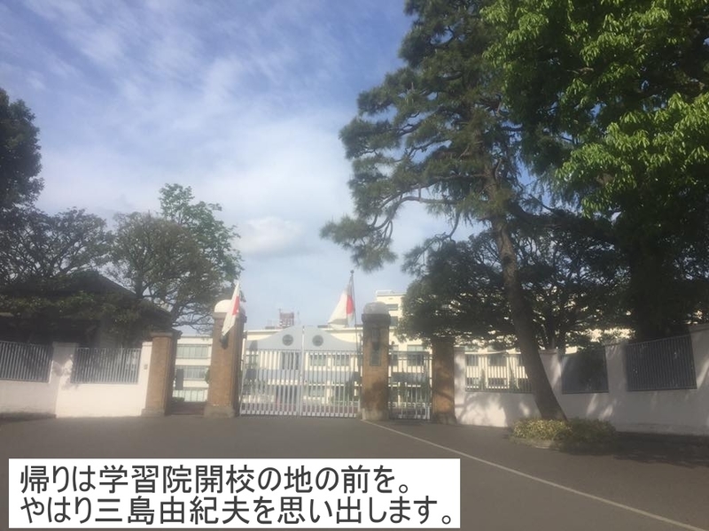 イメージ 5