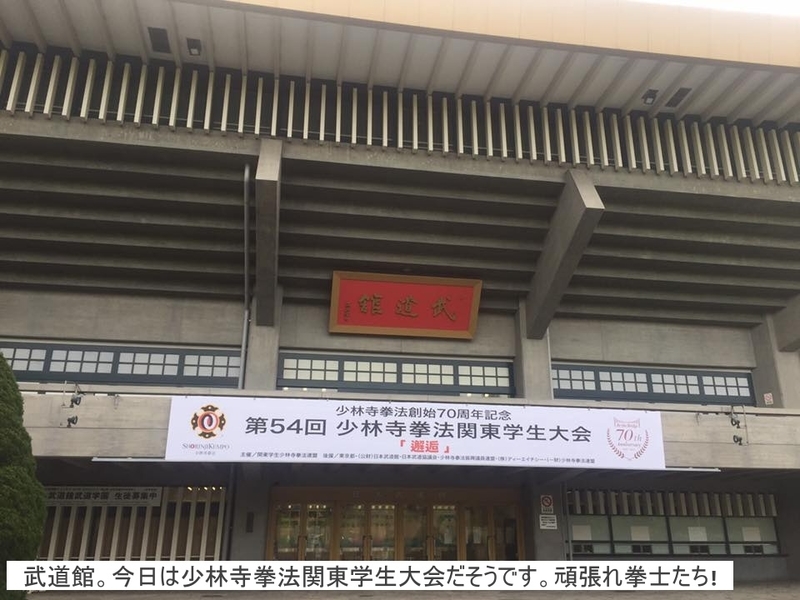 イメージ 8