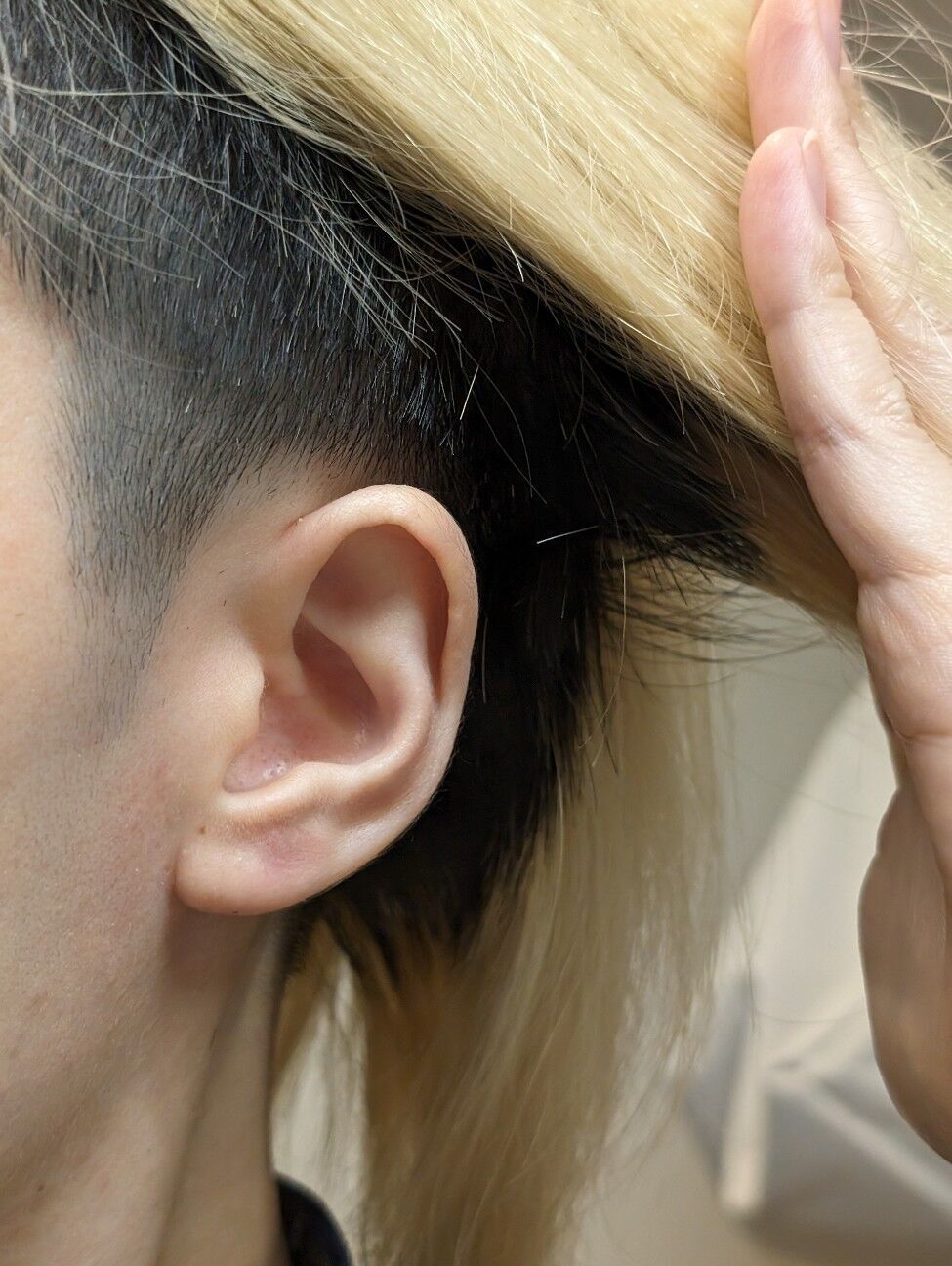 f:id:dustarna:20240417020634j:image