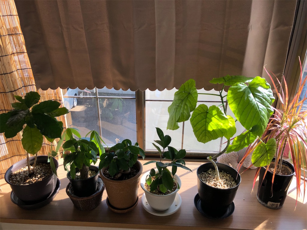 f:id:dustdustdust:20230107121834j:image