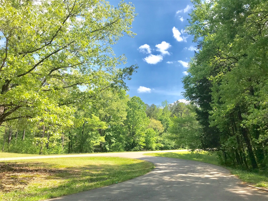 アメリカでドライブ！ Natchez Trace Parkway / ナッチェズトレース